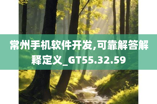 常州手机软件开发,可靠解答解释定义_GT55.32.59