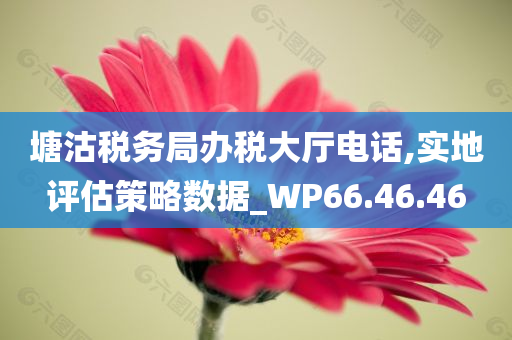 塘沽税务局办税大厅电话,实地评估策略数据_WP66.46.46