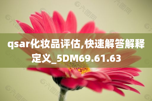 qsar化妆品评估,快速解答解释定义_5DM69.61.63