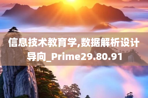 信息技术教育学,数据解析设计导向_Prime29.80.91