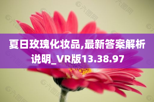 夏日玫瑰化妆品,最新答案解析说明_VR版13.38.97