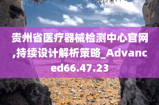 贵州省医疗器械检测中心官网,持续设计解析策略_Advanced66.47.23