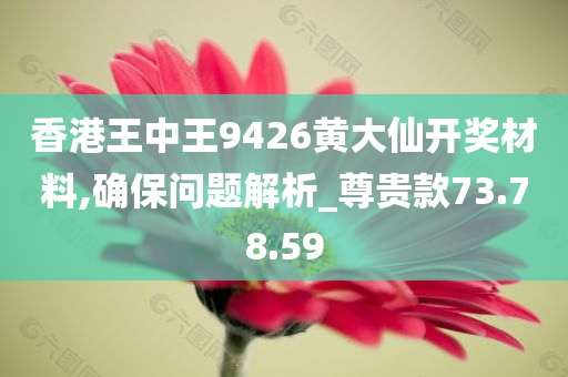 香港王中王9426黄大仙开奖材料,确保问题解析_尊贵款73.78.59