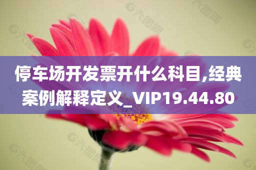 停车场开发票开什么科目,经典案例解释定义_VIP19.44.80