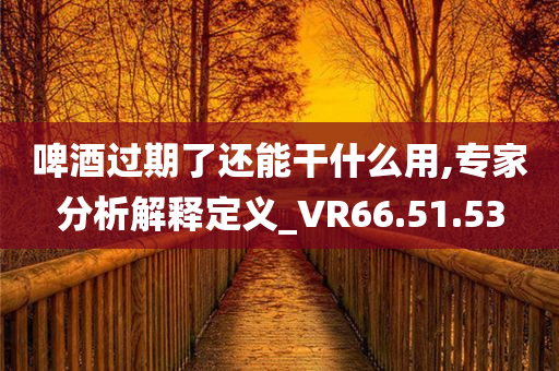 啤酒过期了还能干什么用,专家分析解释定义_VR66.51.53