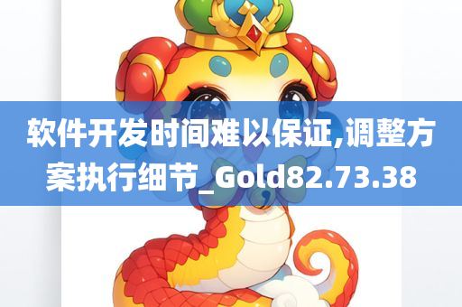 软件开发时间难以保证,调整方案执行细节_Gold82.73.38