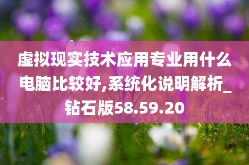 虚拟现实技术应用专业用什么电脑比较好,系统化说明解析_钻石版58.59.20