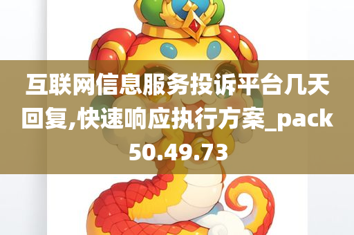 互联网信息服务投诉平台几天回复,快速响应执行方案_pack50.49.73