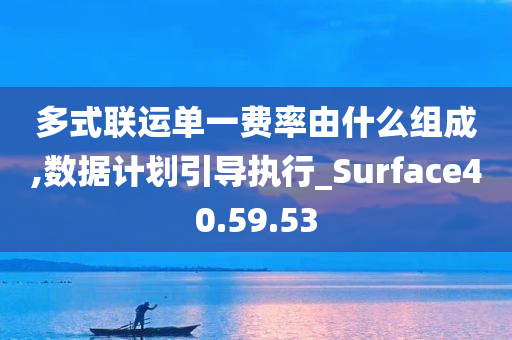 多式联运单一费率由什么组成,数据计划引导执行_Surface40.59.53