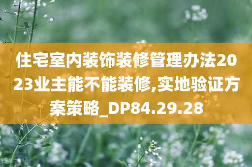 住宅室内装饰装修管理办法2023业主能不能装修,实地验证方案策略_DP84.29.28