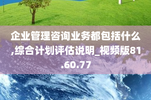 企业管理咨询业务都包括什么,综合计划评估说明_视频版81.60.77