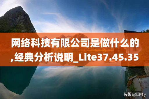 网络科技有限公司是做什么的,经典分析说明_Lite37.45.35