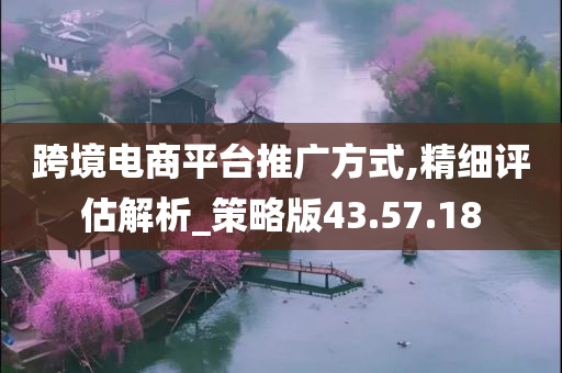 跨境电商平台推广方式,精细评估解析_策略版43.57.18