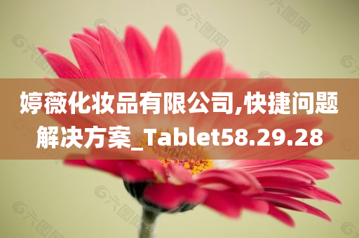 婷薇化妆品有限公司,快捷问题解决方案_Tablet58.29.28