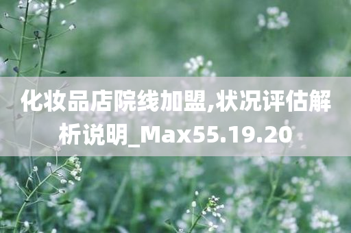 化妆品店院线加盟,状况评估解析说明_Max55.19.20