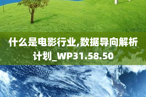 什么是电影行业,数据导向解析计划_WP31.58.50