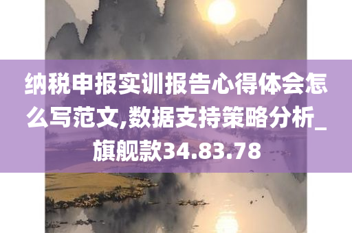 纳税申报实训报告心得体会怎么写范文,数据支持策略分析_旗舰款34.83.78