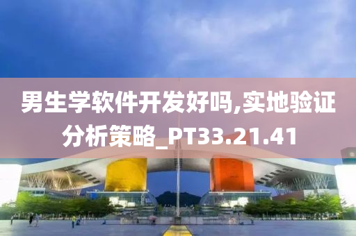 男生学软件开发好吗,实地验证分析策略_PT33.21.41