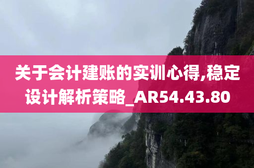 关于会计建账的实训心得,稳定设计解析策略_AR54.43.80