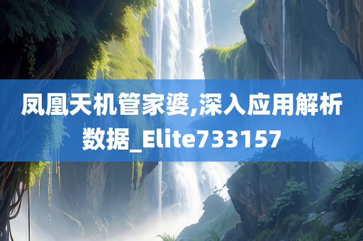 凤凰天机管家婆,深入应用解析数据_Elite733157