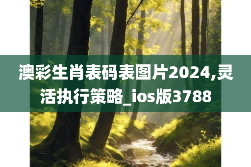 澳彩生肖表码表图片2024,灵活执行策略_ios版3788