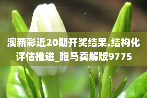 澳新彩近20期开奖结果,结构化评估推进_跑马卖解版9775