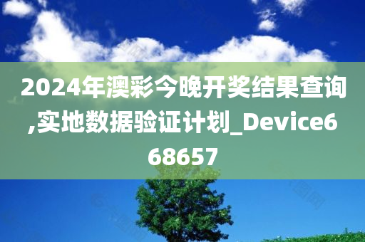 2024年澳彩今晚开奖结果查询,实地数据验证计划_Device668657