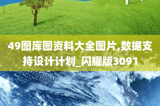 49图库图资料大全图片,数据支持设计计划_闪耀版3091