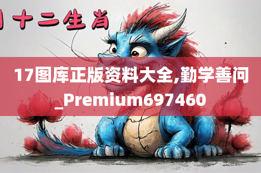 17图库正版资料大全,勤学善问_Premium697460