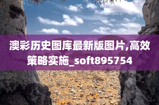 澳彩历史图库最新版图片,高效策略实施_soft895754