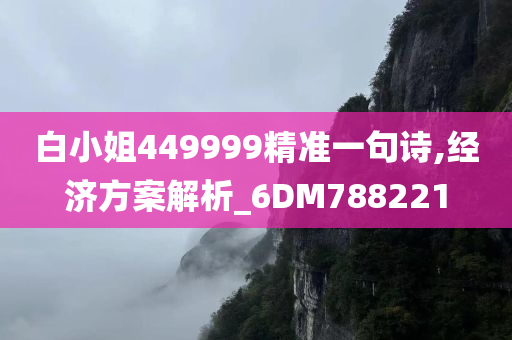 白小姐449999精准一句诗,经济方案解析_6DM788221