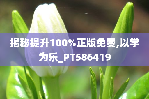 揭秘提升100%正版免费,以学为乐_PT586419