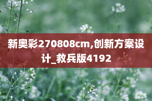 新奥彩270808cm,创新方案设计_救兵版4192