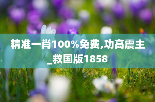 精准一肖100%免费,功高震主_救国版1858