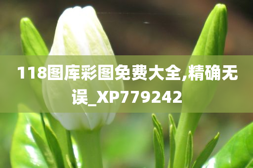 118图库彩图免费大全,精确无误_XP779242