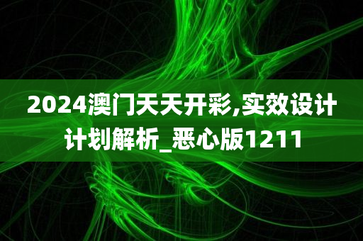 2024澳门天天开彩,实效设计计划解析_恶心版1211