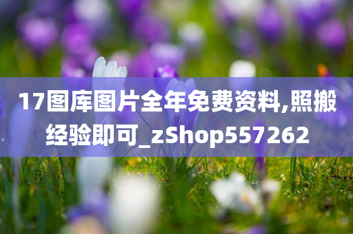 17图库图片全年免费资料,照搬经验即可_zShop557262