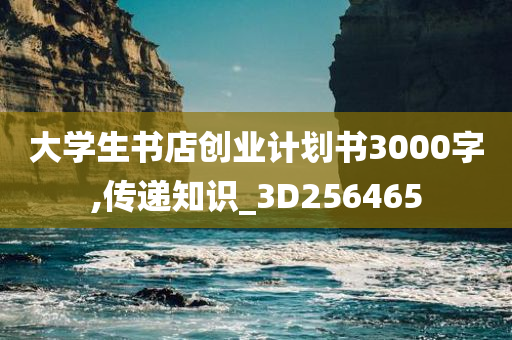 大学生书店创业计划书3000字,传递知识_3D256465