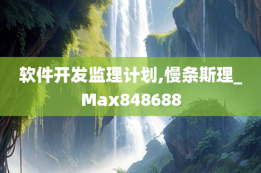 软件开发监理计划,慢条斯理_Max848688