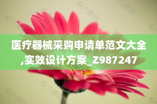 医疗器械采购申请单范文大全,实效设计方案_Z987247