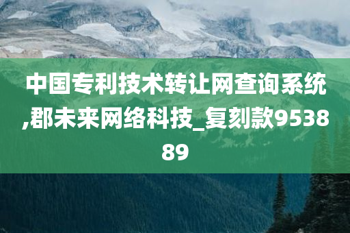 中国专利技术转让网查询系统,郡未来网络科技_复刻款953889