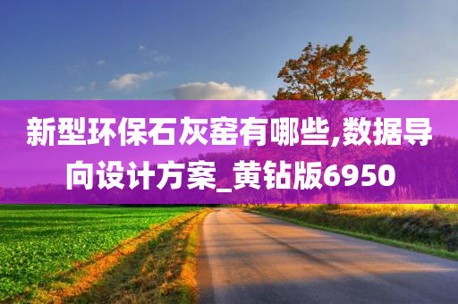 新型环保石灰窑有哪些,数据导向设计方案_黄钻版6950