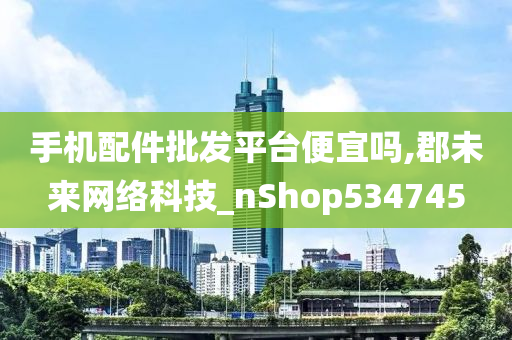 手机配件批发平台便宜吗,郡未来网络科技_nShop534745