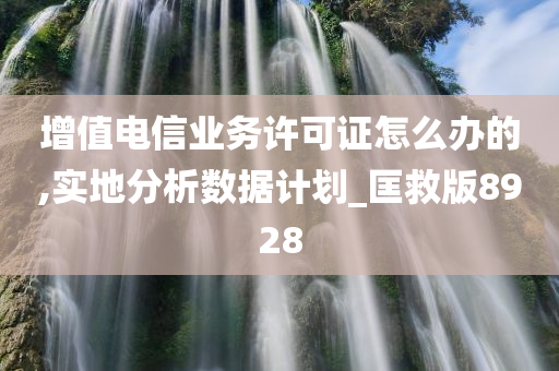 增值电信业务许可证怎么办的,实地分析数据计划_匡救版8928