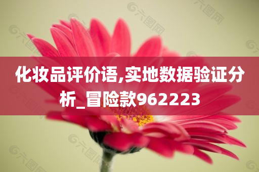 化妆品评价语,实地数据验证分析_冒险款962223