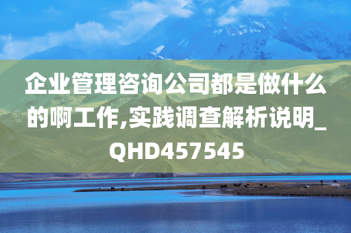 企业管理咨询公司都是做什么的啊工作,实践调查解析说明_QHD457545