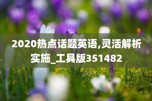 2020热点话题英语,灵活解析实施_工具版351482