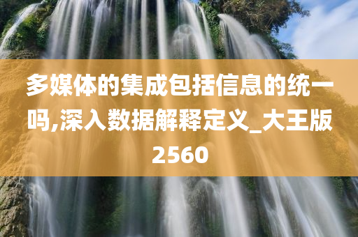 多媒体的集成包括信息的统一吗,深入数据解释定义_大王版2560