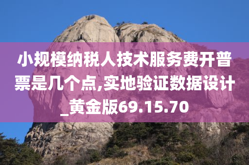 小规模纳税人技术服务费开普票是几个点,实地验证数据设计_黄金版69.15.70