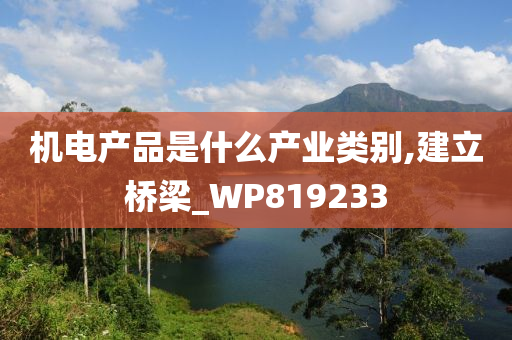 机电产品是什么产业类别,建立桥梁_WP819233